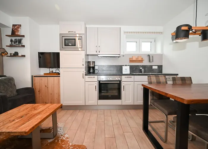 Apartment Alpin Incl Summer Card By In One Kaprun